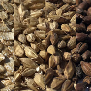 Small Grain Quantities (0 - 10kg)