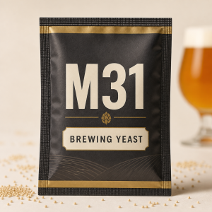 m31