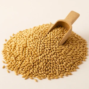 Pilsner Malt